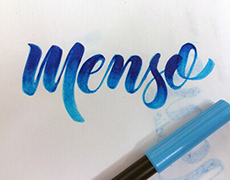 Lettering and graphic design - Insultos Bonitos creative project